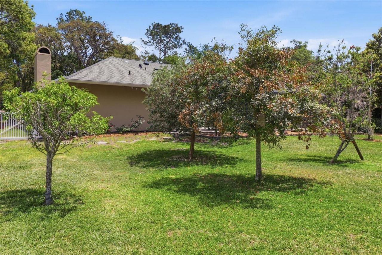 35 Douglas Street, Homosassa, FL 34446 Photo
