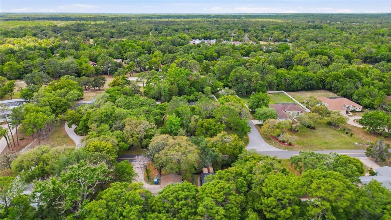 35 Douglas Street, Homosassa, FL 34446 Photo