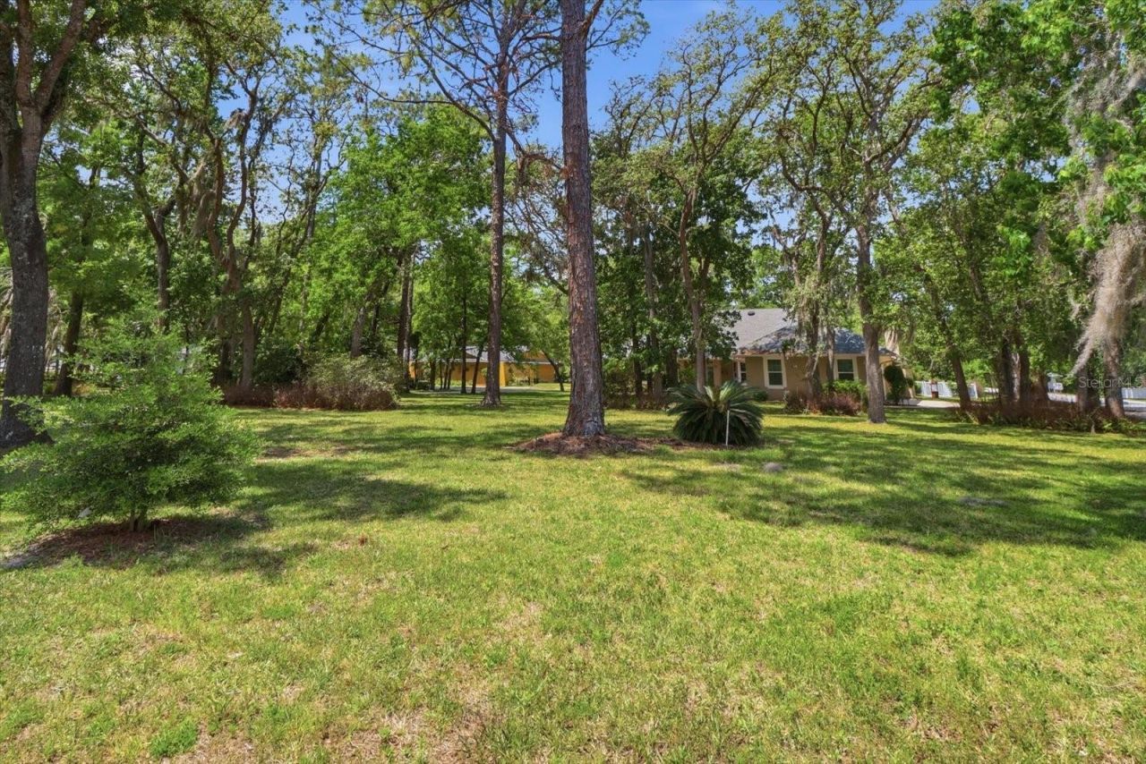 35 Douglas Street, Homosassa, FL 34446 Photo