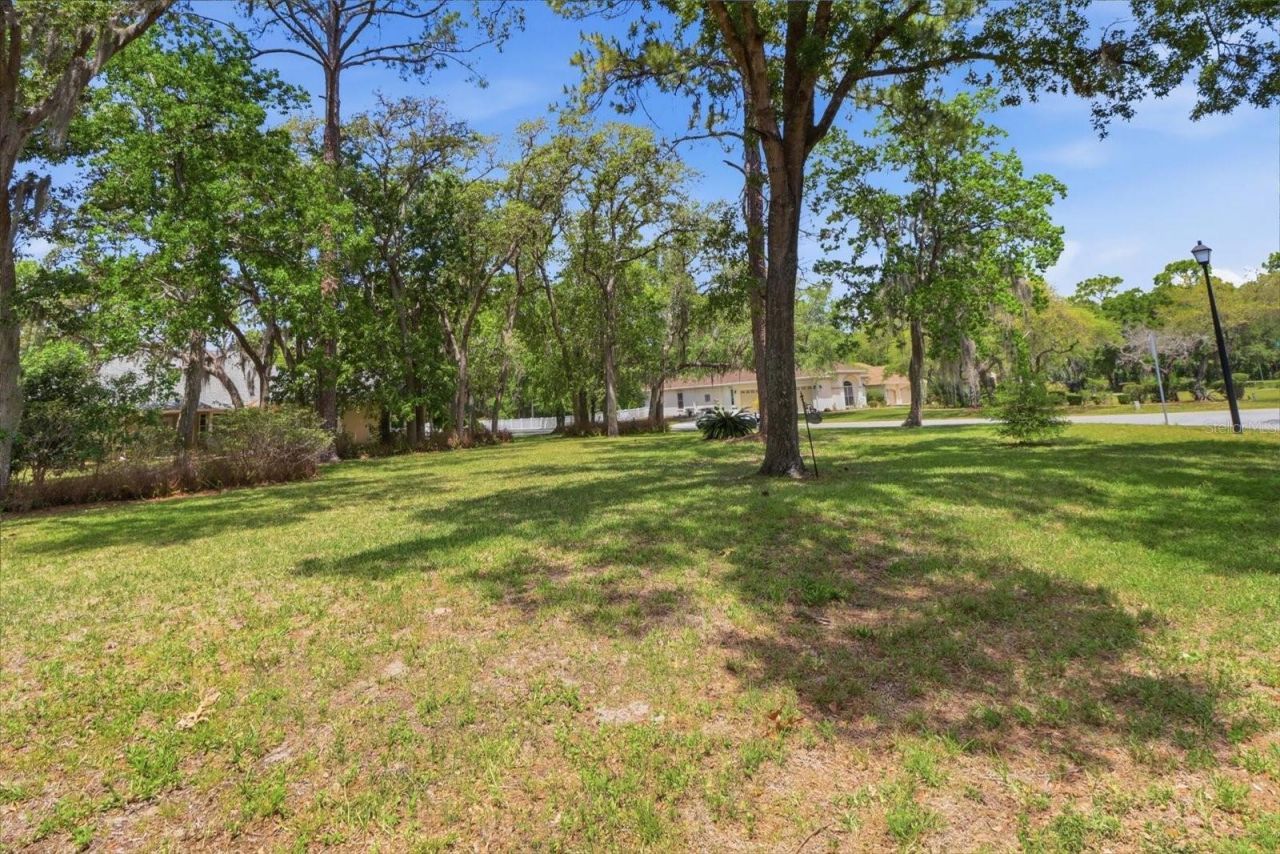 35 Douglas Street, Homosassa, FL 34446 Photo