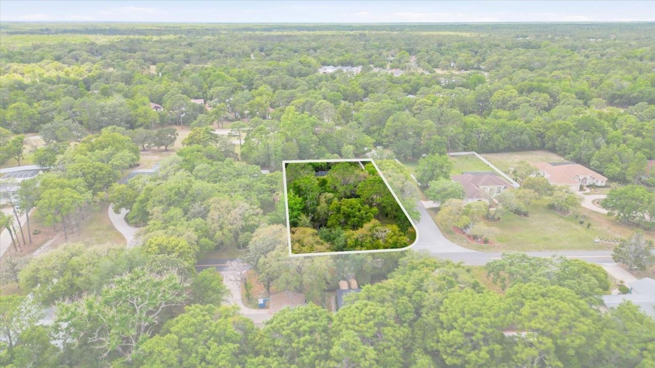 35 Douglas Street, Homosassa, FL 34446 Photo