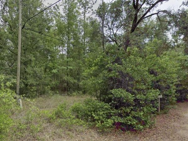 10013 N HOLYOAK TERRACE , DUNNELLON, FL 34433