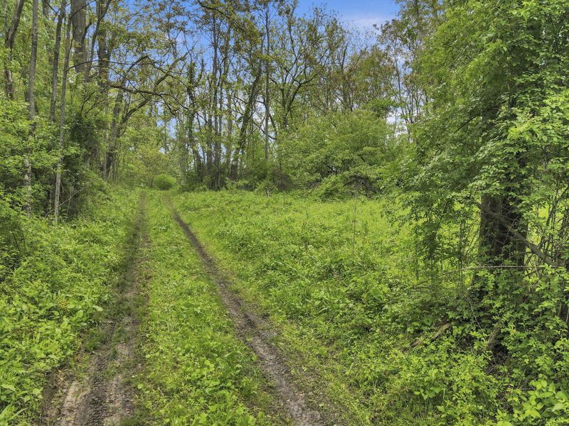 29500 Fairview Ridge Road , Logan, OH 43138 Photo 2