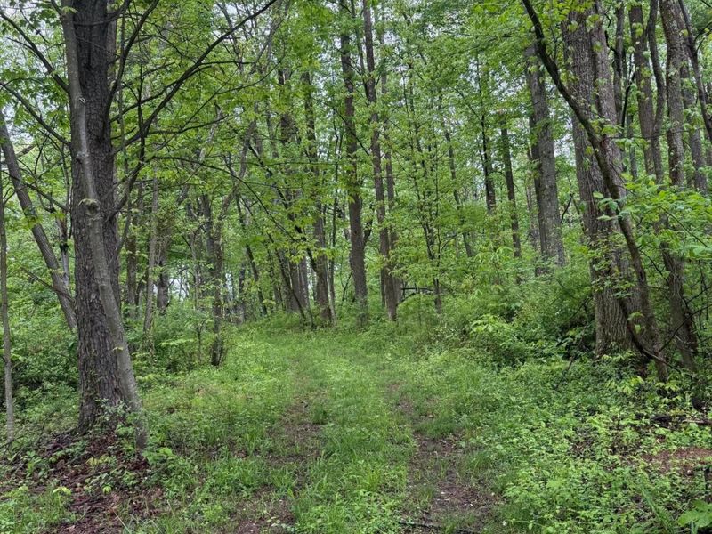29500 Fairview Ridge Road , Logan, OH 43138 Photo 29