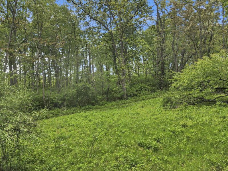 29500 Fairview Ridge Road , Logan, OH 43138 Photo 3