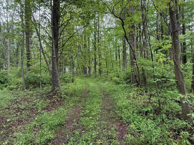 29500 Fairview Ridge Road , Logan, OH 43138 Photo 30