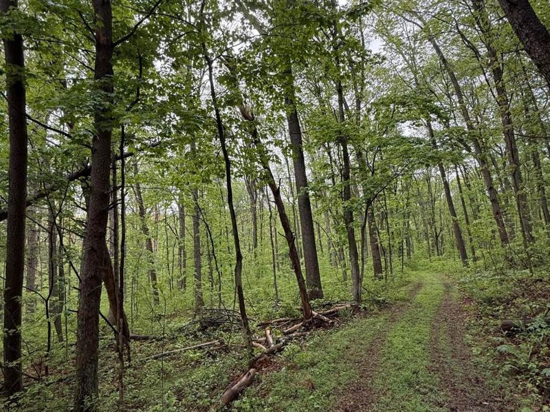 29500 Fairview Ridge Road , Logan, OH 43138 Photo 31