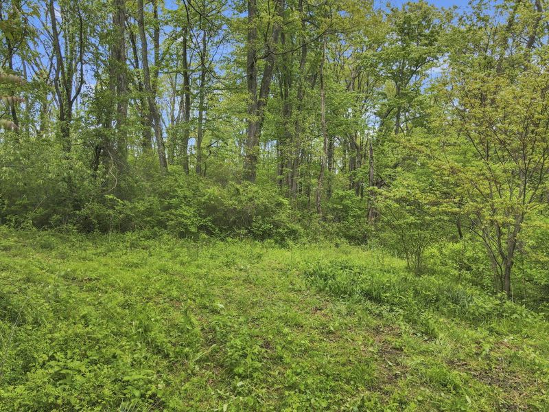 29500 Fairview Ridge Road , Logan, OH 43138 Photo 4