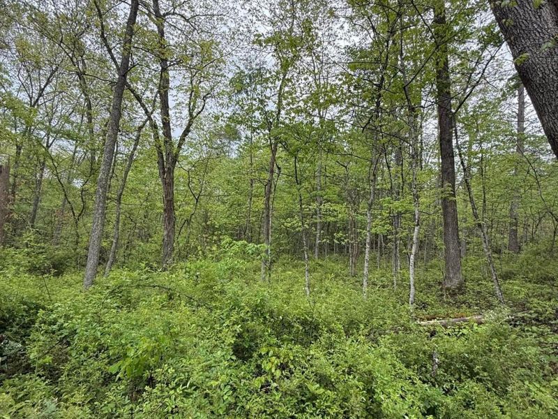 29500 Fairview Ridge Road , Logan, OH 43138 Photo 40