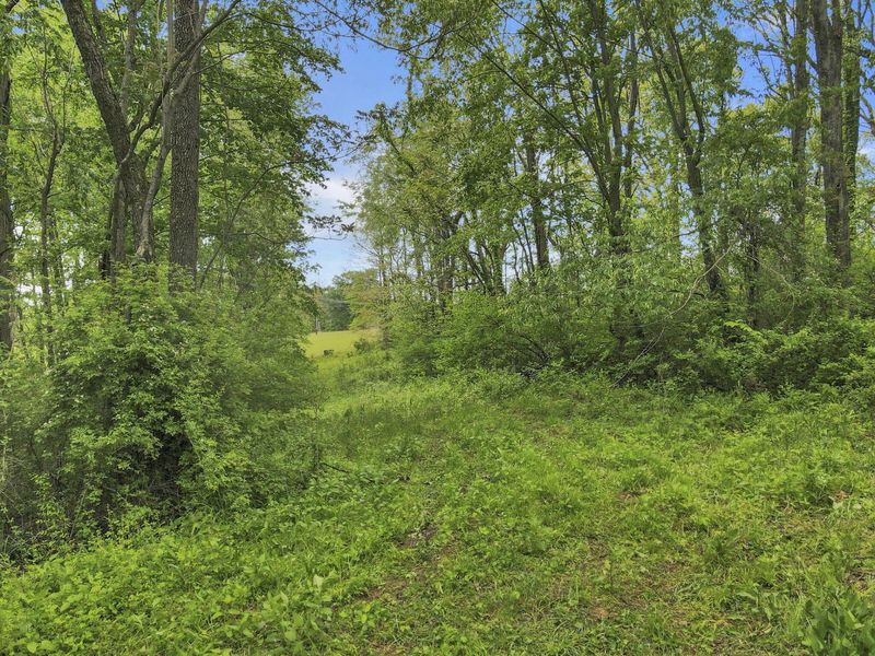 29500 Fairview Ridge Road , Logan, OH 43138 Photo 5