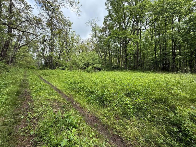 29500 Fairview Ridge Road , Logan, OH 43138 Photo 57