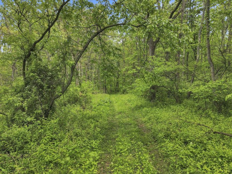 29500 Fairview Ridge Road , Logan, OH 43138 Photo 6
