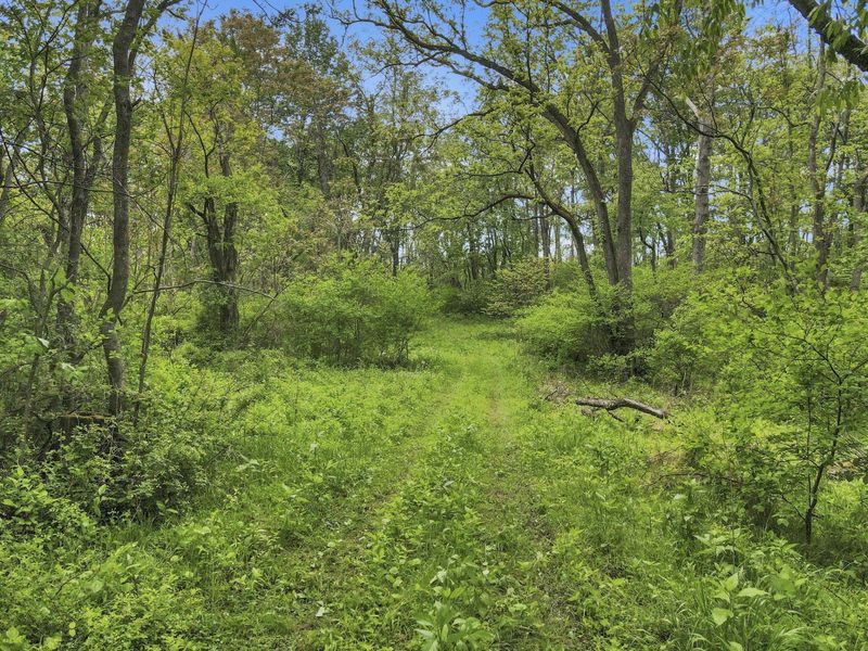 29500 Fairview Ridge Road , Logan, OH 43138 Photo 7