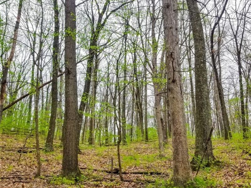 17081 State Route 644, Salineville, OH 43945 Photo 10