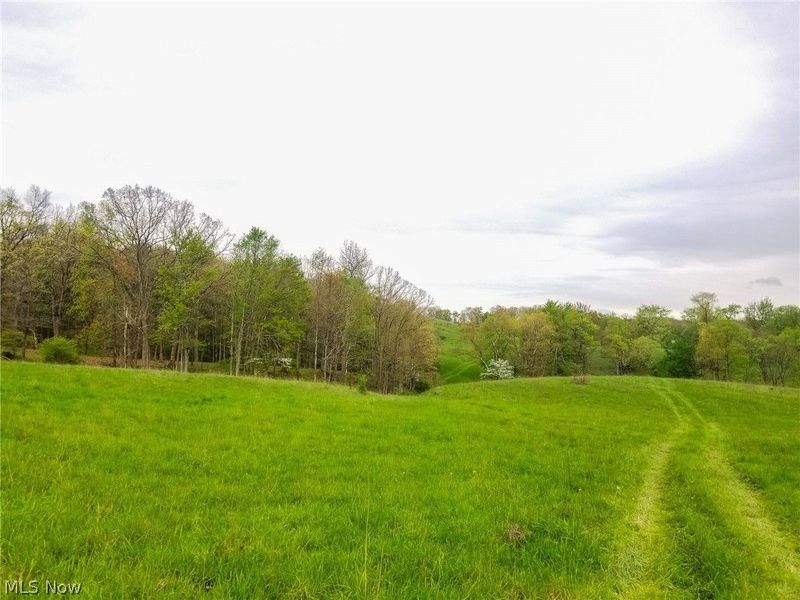 17081 State Route 644, Salineville, OH 43945 Photo 11
