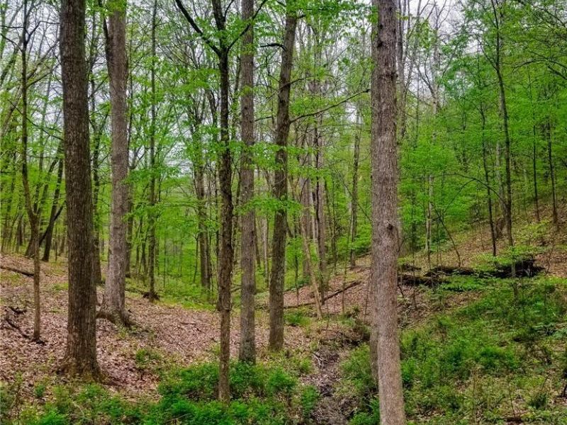 17081 State Route 644, Salineville, OH 43945 Photo 13