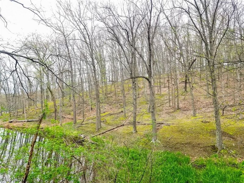 17081 State Route 644, Salineville, OH 43945 Photo 14