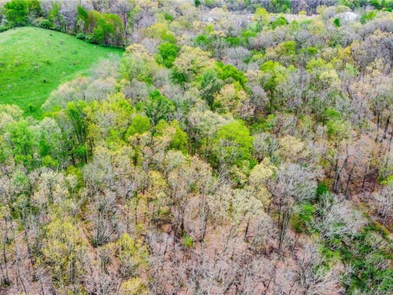 17081 State Route 644, Salineville, OH 43945 Photo 15