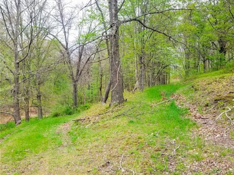 17081 State Route 644, Salineville, OH 43945 Photo 22