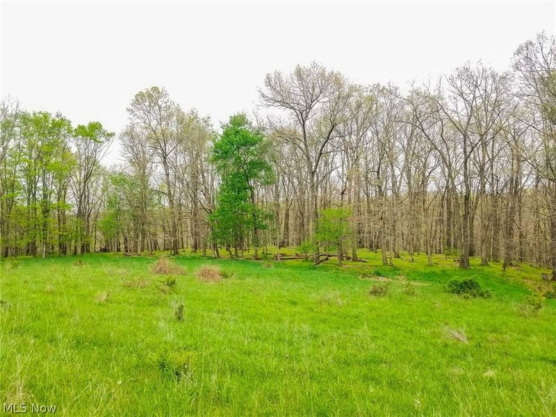 17081 State Route 644, Salineville, OH 43945 Photo 25