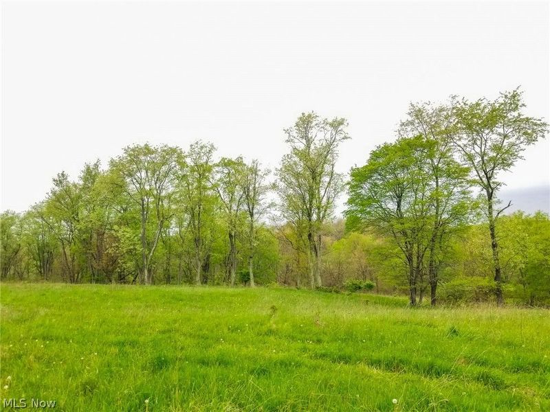 17081 State Route 644, Salineville, OH 43945 Photo 26