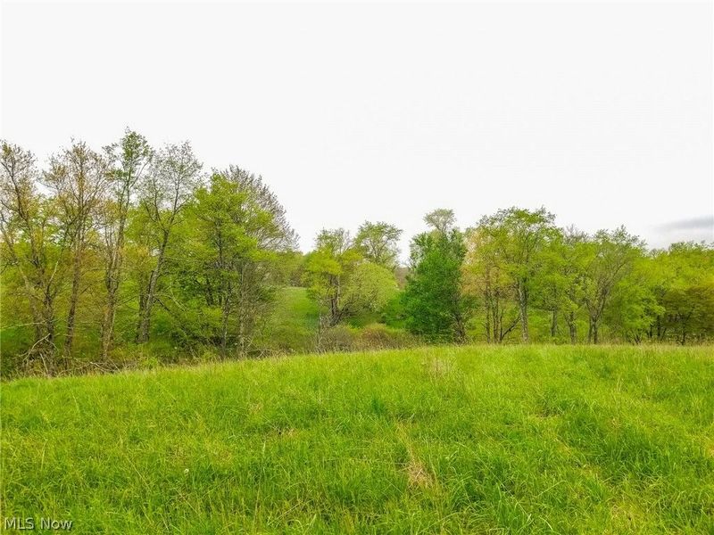 17081 State Route 644, Salineville, OH 43945 Photo 28