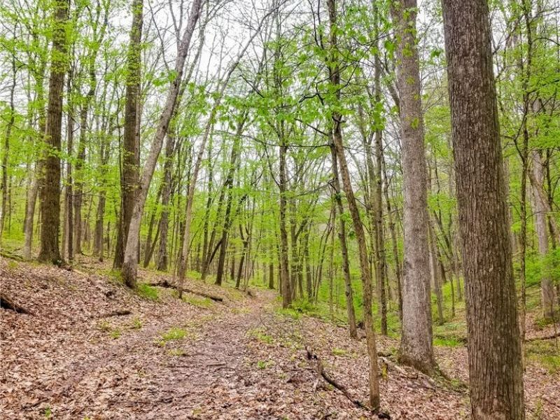 17081 State Route 644, Salineville, OH 43945 Photo 3