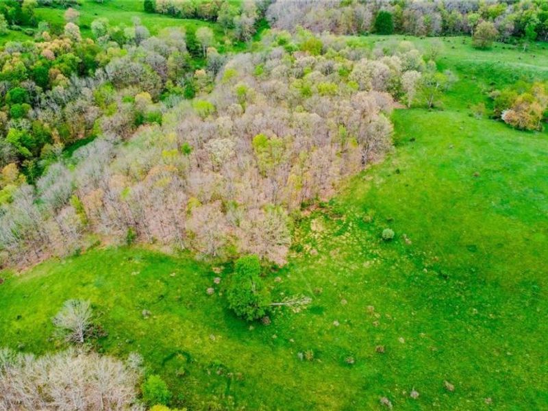 17081 State Route 644, Salineville, OH 43945 Photo 35