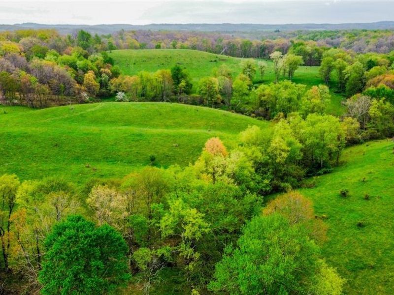 17081 State Route 644, Salineville, OH 43945 Photo 38