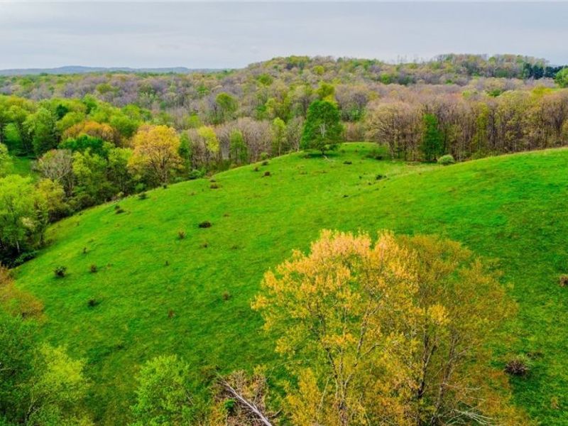 17081 State Route 644, Salineville, OH 43945 Photo 39