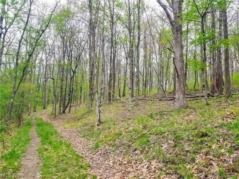 17081 State Route 644, Salineville, OH 43945 Photo 6