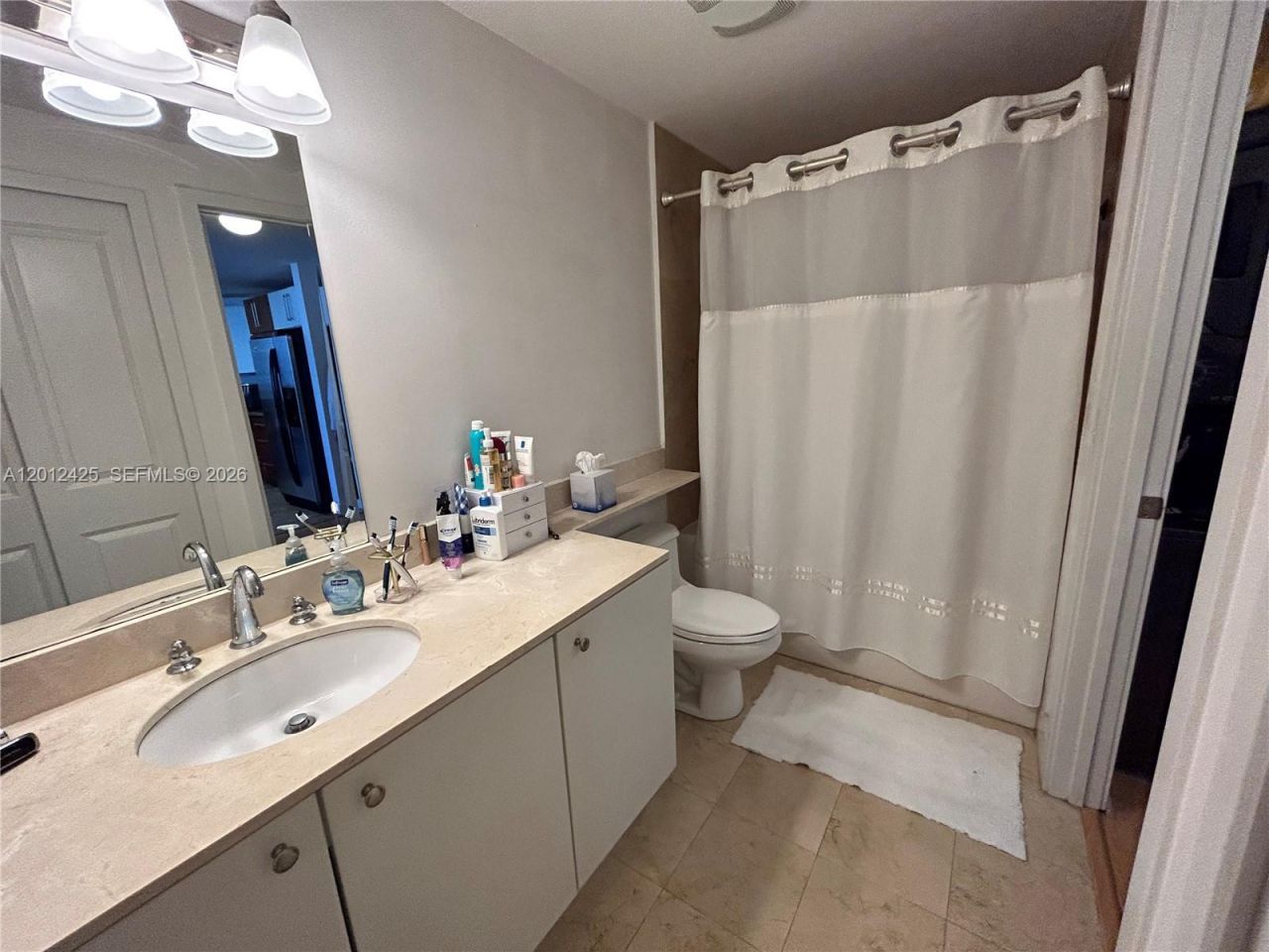 170 SE 14th St , Unit 2906, Miami, FL 33131 Photo