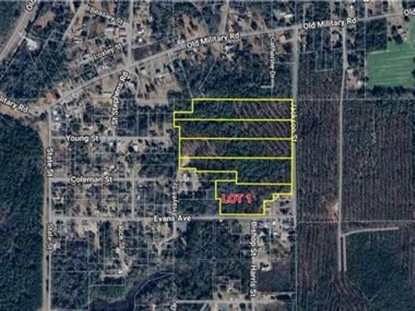 0 Jackson Street, Mount Vernon, AL 36560