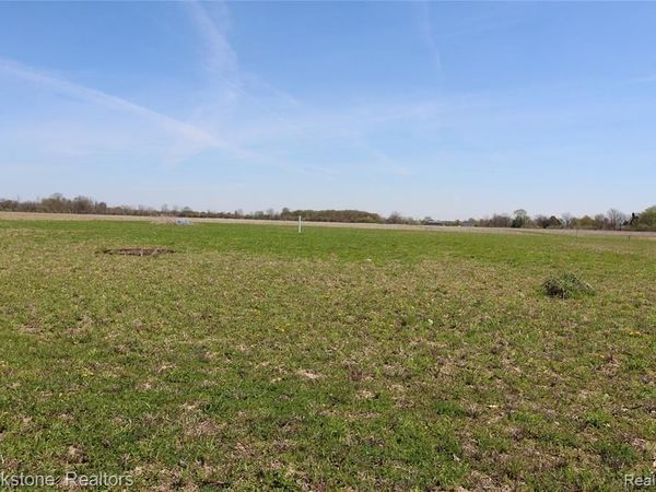 Vacant Lot D Stoddard Road, Columbus Twp, MI 48063