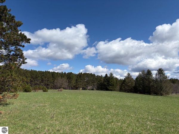 Spruce Ridge, Bear Lake, MI 49614