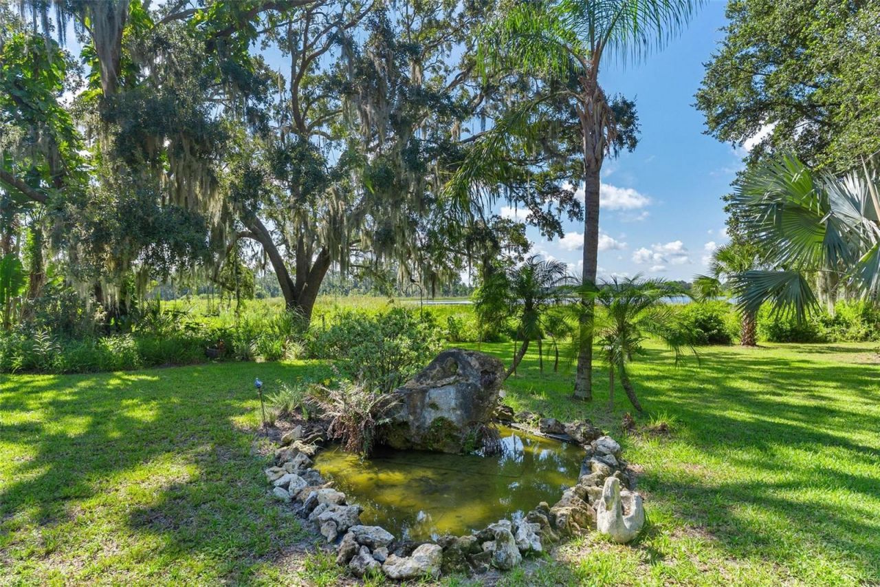 26833 Anderson Ranch Road, Yalaha, FL 34797 Photo