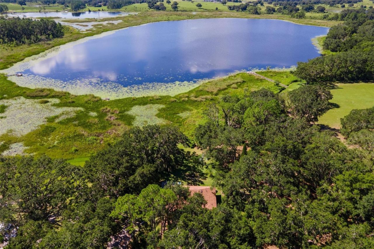 26833 Anderson Ranch Road, Yalaha, FL 34797 Photo
