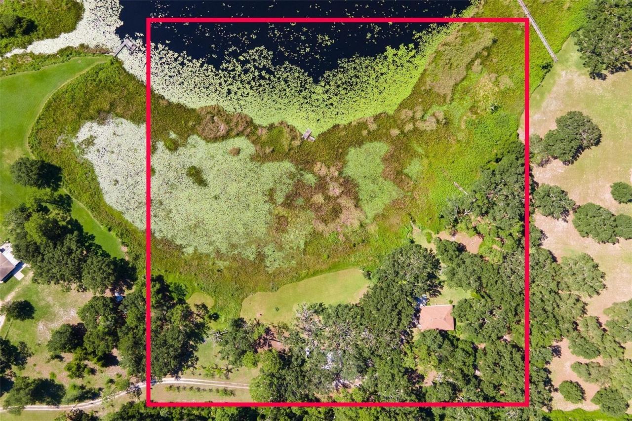 26833 Anderson Ranch Road, Yalaha, FL 34797 Photo