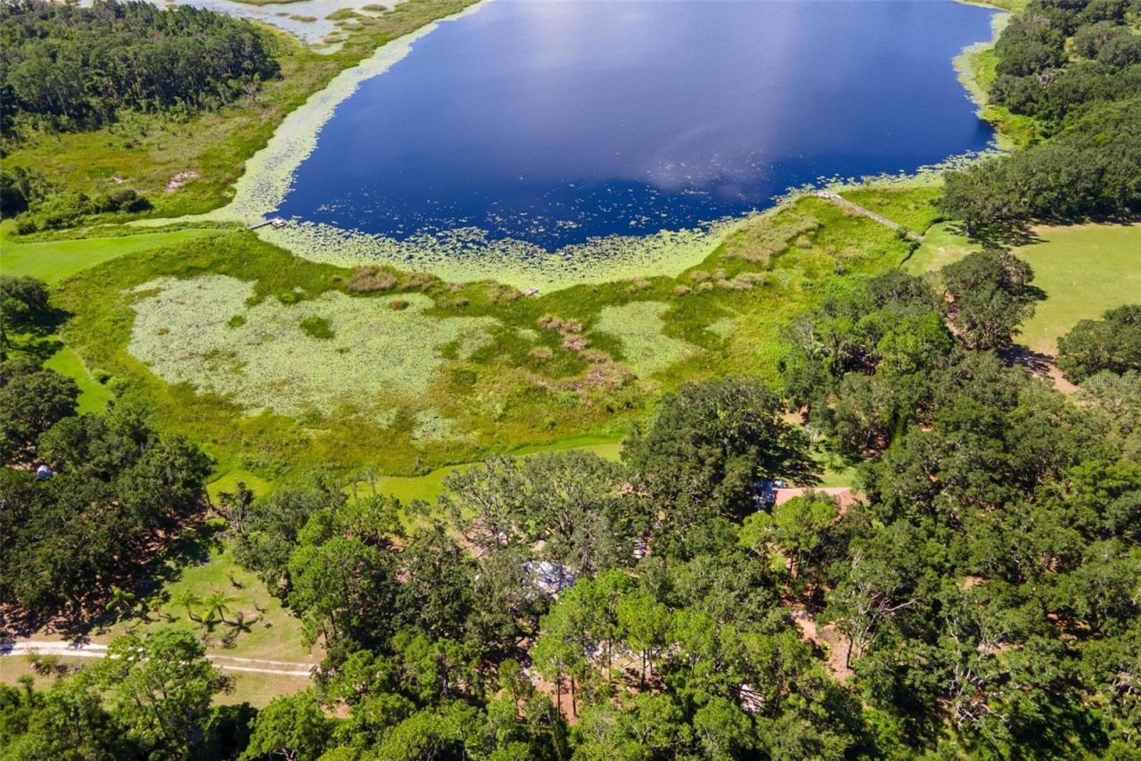 26833 Anderson Ranch Road, Yalaha, FL 34797 Photo