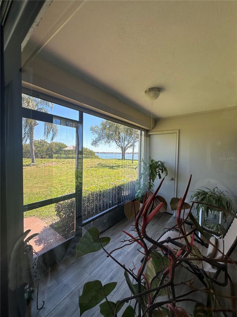 6104 Palma Del Mar Boulevard S, Unit 102, Saint Petersburg, FL 33715 Photo