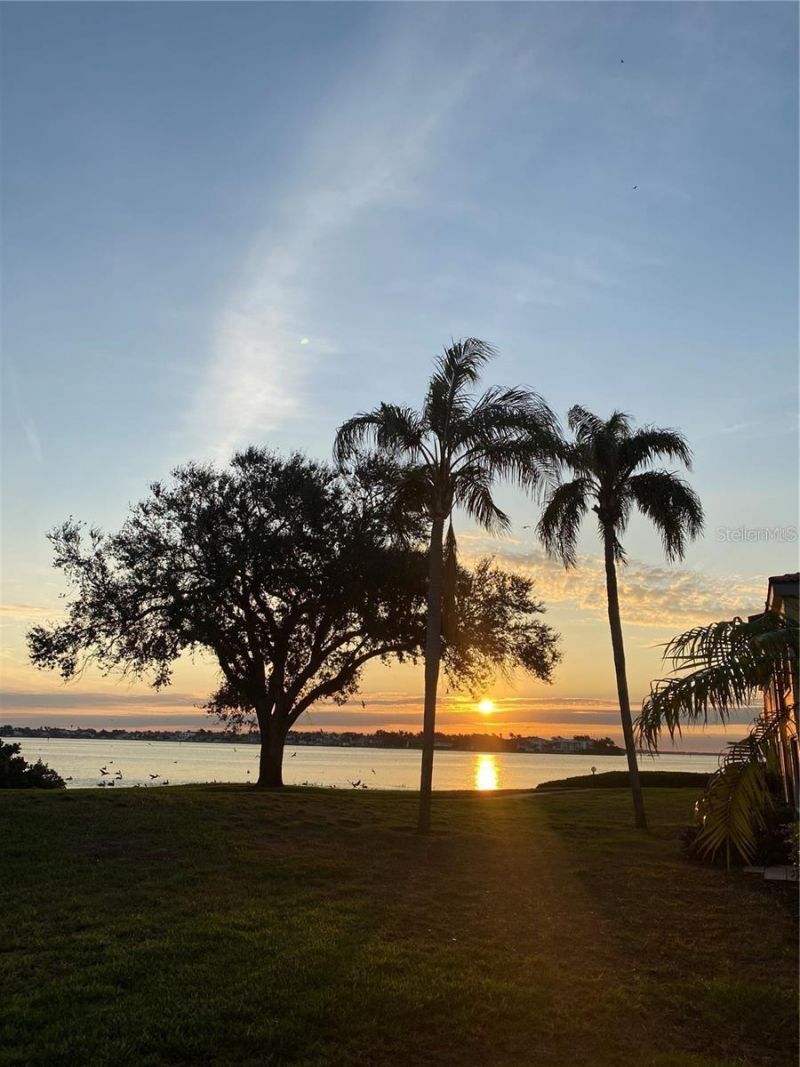 6104 Palma Del Mar Boulevard S, Unit 102, Saint Petersburg, FL 33715 Photo
