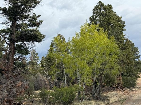 Lot 154 Tahmoush Lane , Fort Garland, CO 81133