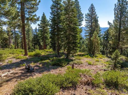 11494 Alder Hill Road, Truckee, CA 96161 Photo