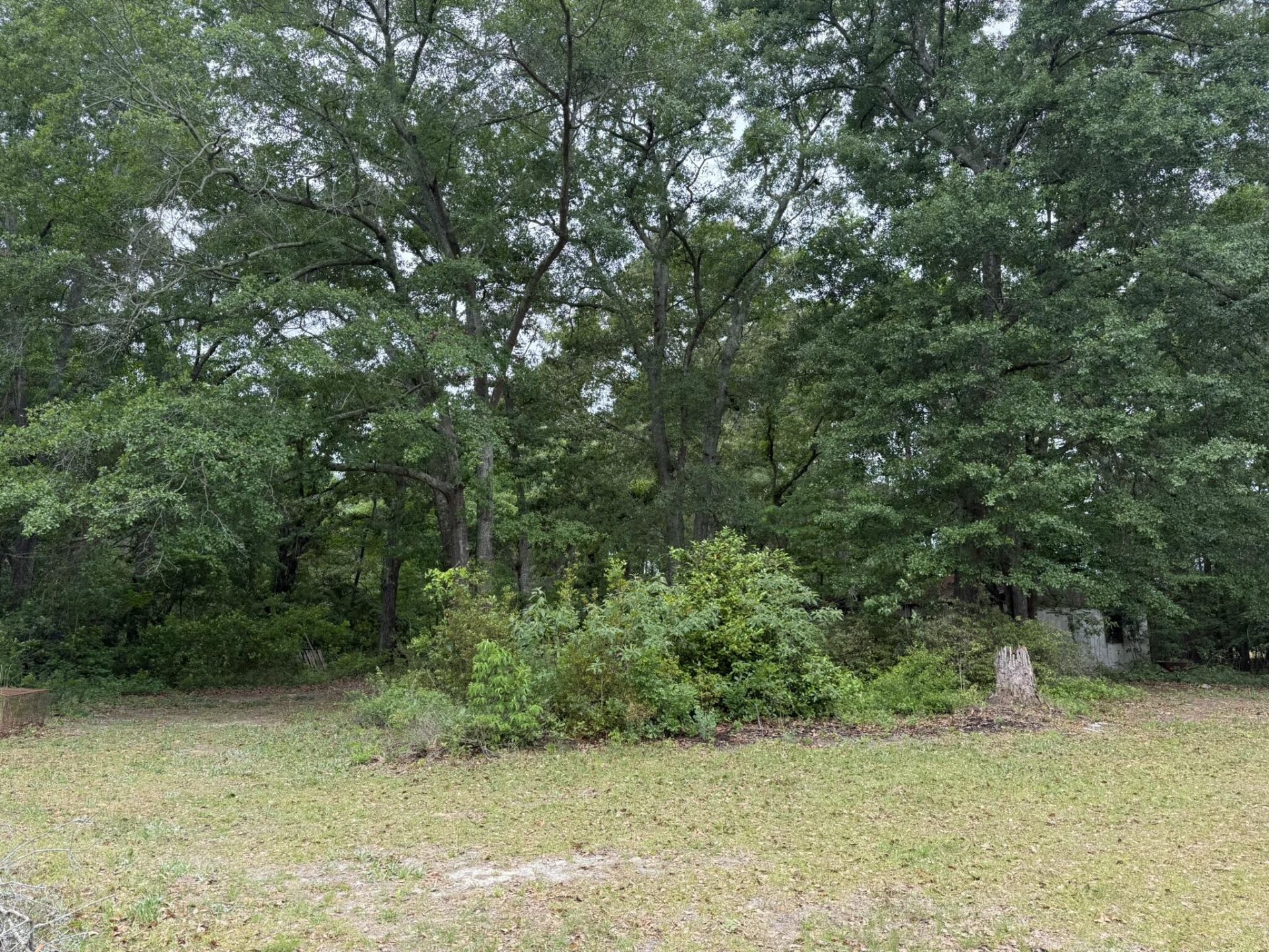 480 Hidden Acres Road Photo 20