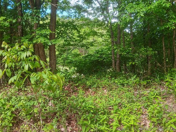 N 510 Road , Tahlequah, OK 74464