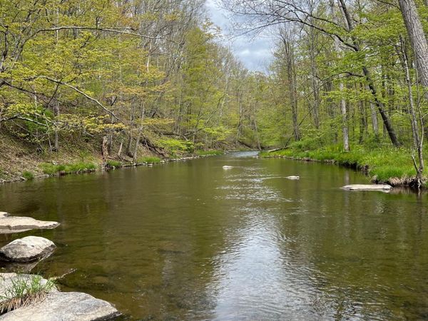 0 Rudolph Weir Jr Road, Earlton, NY 12058