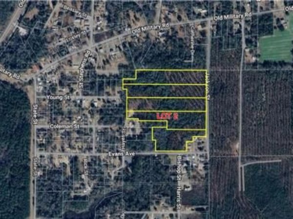 0 Jackson Street , Mount Vernon, AL 36560