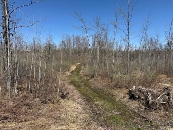 4819N Horse Creek Trail, Ojibwa, WI 54862