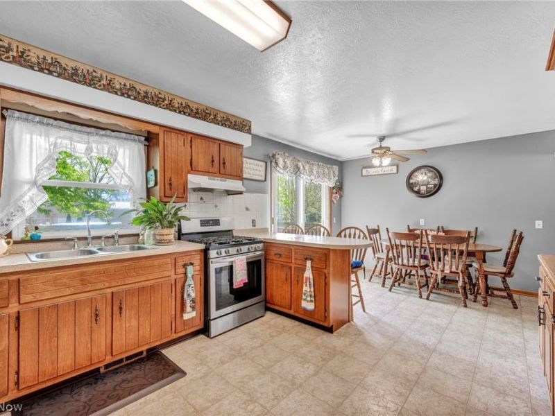 1141 Novak Road, Grafton, OH 44044 Photo 20