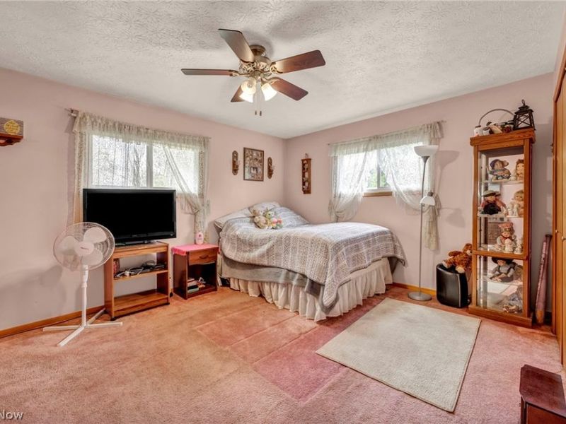 1141 Novak Road, Grafton, OH 44044 Photo 23